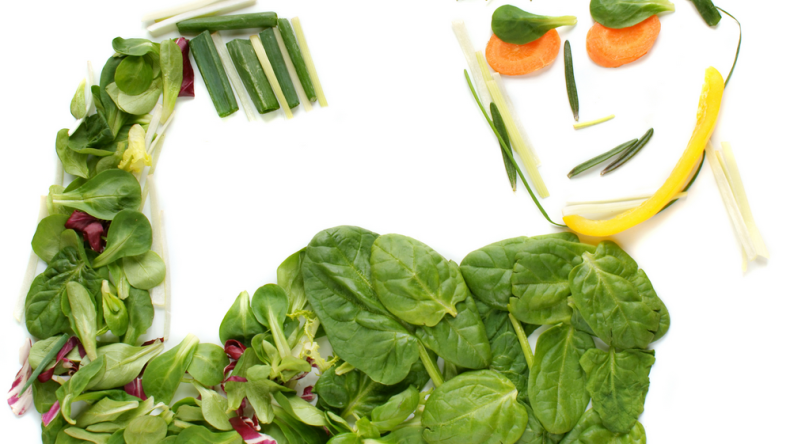 Как я стал вегетарианцем